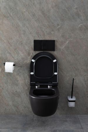 Чаша подвесного унитаза Allen Brau Priority 4.31002.31 черный матовый, артикул 4.31002.31