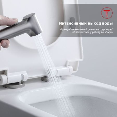 Гигиенический душ со смесителем Raglo R03.52.09, графит