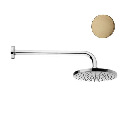 Верхний душ Webert AC0013065METAL, бронза, артикул AC0013065METAL