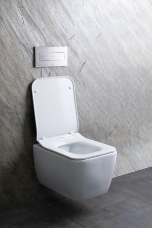 Чаша подвесного унитаза Allen Brau Liberty 4.33007.20 белый, артикул 4.33007.20