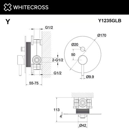 Смеситель для душа скрытого монтажа WHITECROSS Y Y1235GLB (брашированное золото), артикул Y1235GLB