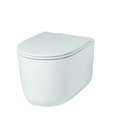 Hidra Gio, подвесной безободковый унитаз c крепежом, 55x36,5 см, цвет белый матовый, артикул GWR20/006