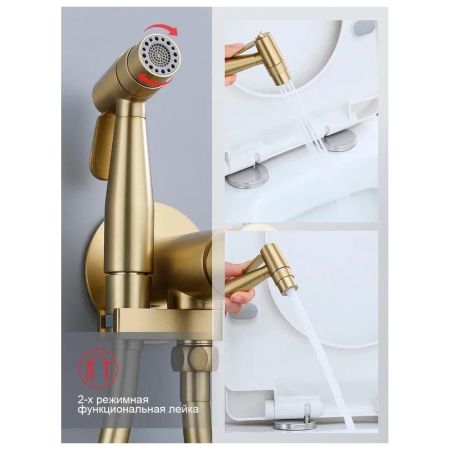 Гигиенический душ со смесителем встраиваемый Raglo R20.54.03, сатин золотой