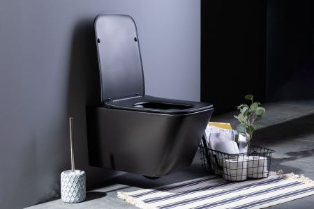 Унитаз подвесной Aquanet Rimless Tavr-W BL-103N-WHT black черный матовый