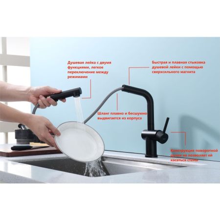 Смеситель для кухни с выдвижным изливом Raglo R86.49.06, черный, артикул R86.49.06