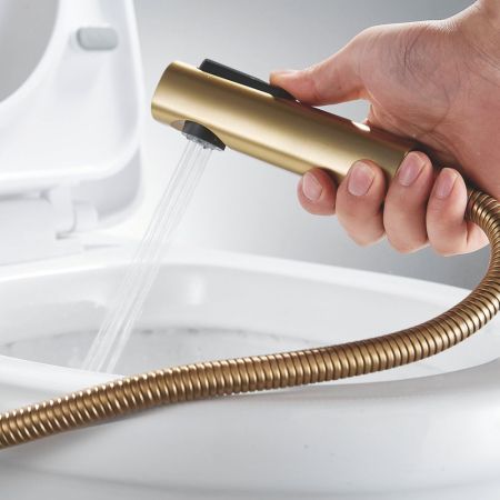 Гигиенический душ со смесителем Shevanik S9905G-1, золотой сатин