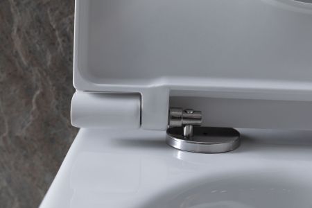 Чаша подвесного унитаза Allen Brau Reality 4.32006.20 белый глянец, артикул 4.32006.20