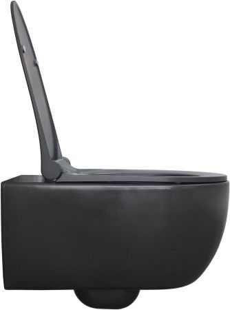 Чаша подвесного унитаза Allen Brau Priority 4.31001.AN антрацит, артикул 4.31001.AN