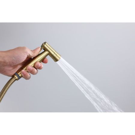 Гигиенический душ со смесителем  Raglo R10.52.03, сатин золотой