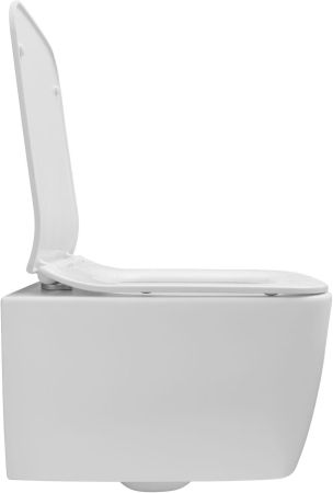 Чаша подвесного унитаза Allen Brau Liberty 4.33007.21 белый матовый, артикул 4.33007.21