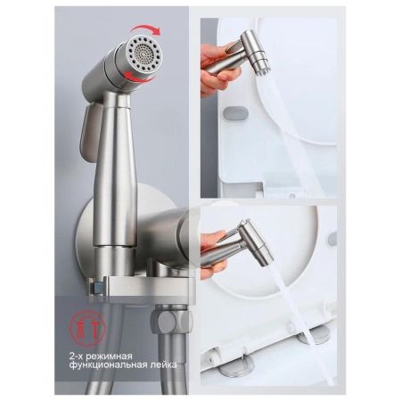 Гигиенический душ со смесителем встраиваемый Raglo R20.54.05, сатин