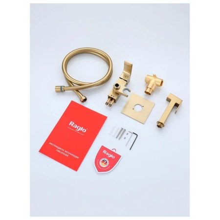 Гигиенический душ со смесителем встраиваемый Raglo R02.54.03, сатин золотой