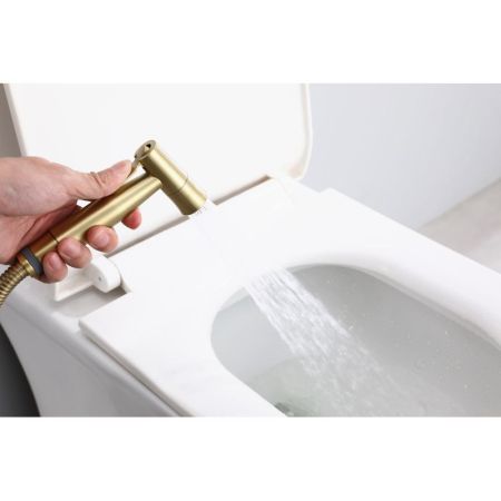 Гигиенический душ со смесителем  Raglo R10.52.03, сатин золотой