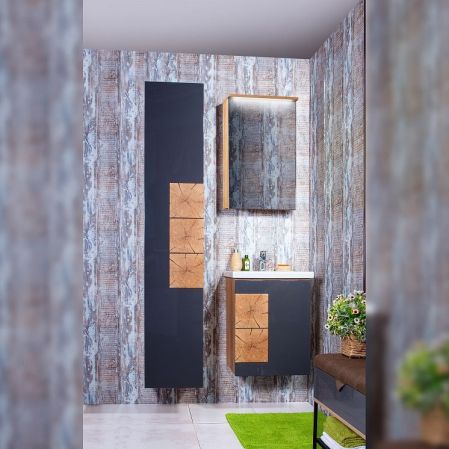 Зеркальный шкаф Бриклаер Форест 50 с подсветкой Антрацит со вставкой Пенёк