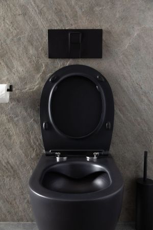 Чаша подвесного унитаза Allen Brau Reality 4.32006.31 черный матовый, артикул 4.32006.31