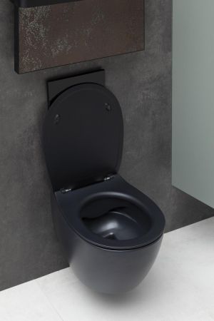 Чаша подвесного унитаза Allen Brau Fantasy 4.11004.31 черный матовый, артикул 4.11004.31