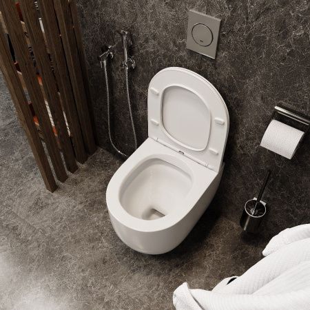 Унитаз OGLIO Aria подвесной безободковый Cerutti SPA CT8909 Унитаз OGLIO Aria подвесной безободковый Cerutti SPA CT8909