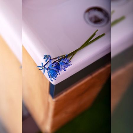 Тумба под раковину Бриклаер Форест 40 подвесная Антрацит со вставкой Пенёк, артикул 4627125414633