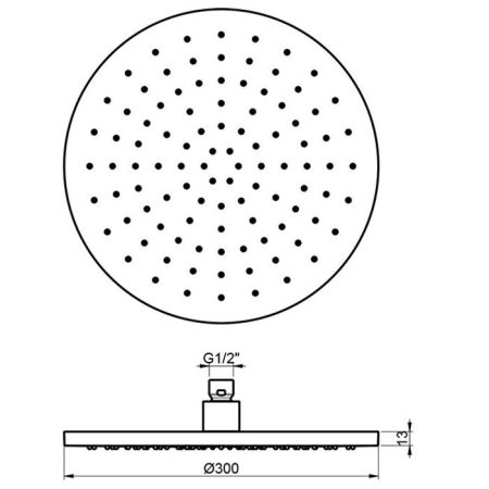 Верхний душ, Almar, 316 Stalnless Steel, размер душевого диска, мм-300*300, форма-круглая, количество режимов-1, держатель-необходимо заказать, цвет-Stainless Steel AISI 316, артикул E044072.316