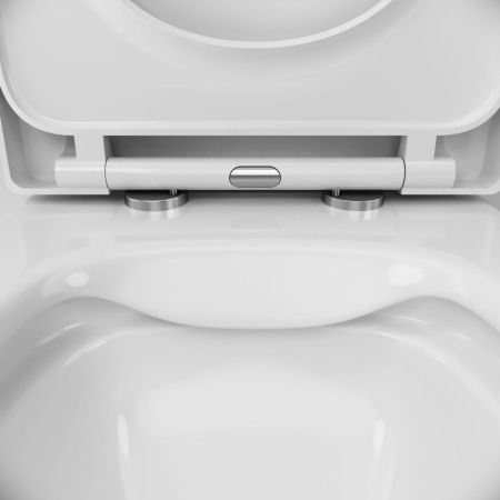 Унитаз Damixa Palace Grand 461700SC подвесной с сиденьем Микролифт