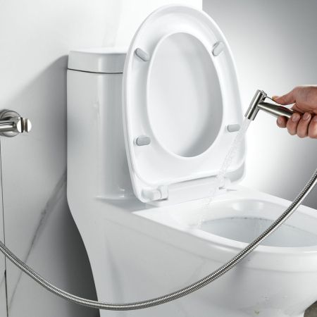 Гигиенический душ со смесителем Raffine F207L, сатин