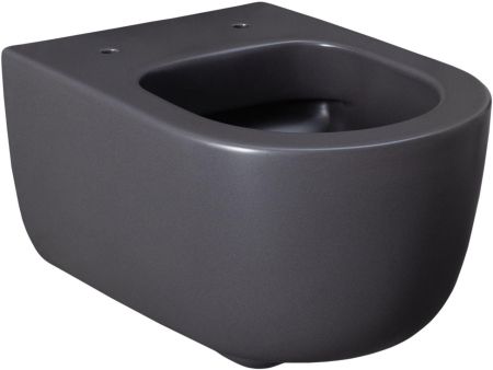 Чаша подвесного унитаза Allen Brau Priority 4.31002.AN антрацит, артикул 4.31002.AN