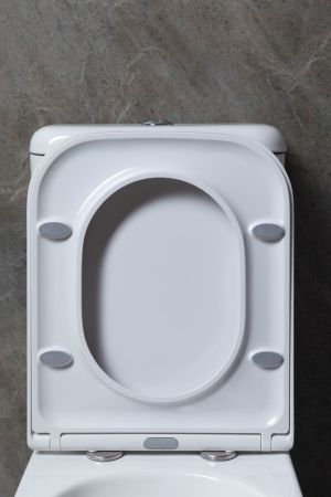 Чаша напольного унитаза Allen Brau Infinity 4.21001.20 белый глянец, артикул 4.21001.20