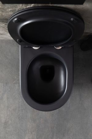 Чаша подвесного унитаза Allen Brau Reality 4.32006.31 черный матовый, артикул 4.32006.31