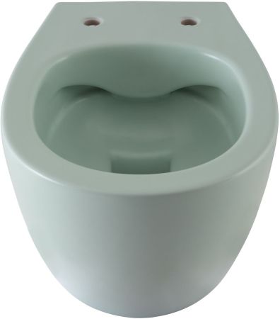 Чаша подвесного унитаза Allen Brau Fantasy 4.11004.MT мятный, артикул 4.11004.MT