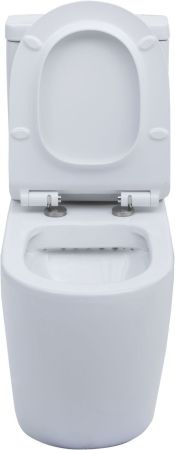 Чаша напольного унитаза Aquanet Rimless Cetus-C1 BL-102N-TPT