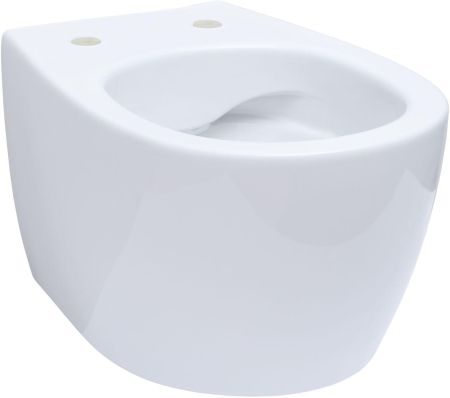 Чаша подвесного унитаза Allen Brau Fantasy 4.11004.20 белый глянец, артикул 4.11004.20