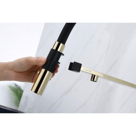 Смеситель для кухни Paulmark Magneto Ma213118-G Золото Черный