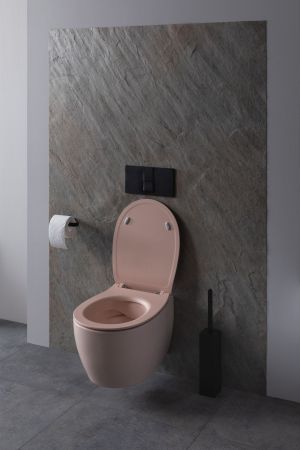 Чаша подвесного унитаза Allen Brau Fantasy 4.11004.SM розовый, артикул 4.11004.SM