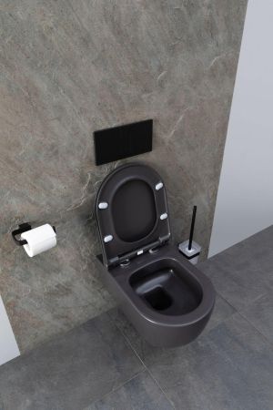 Чаша подвесного унитаза Allen Brau Priority 4.31001.AN антрацит, артикул 4.31001.AN