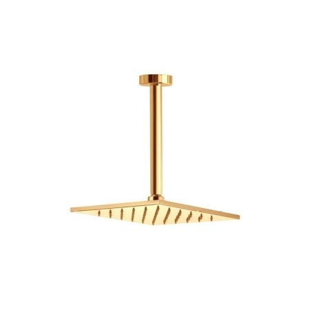 Верхний душ Webert AC0942010, золото, артикул AC0942010