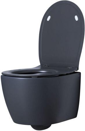 Чаша подвесного унитаза Allen Brau Fantasy 4.11004.AN антрацит, артикул 4.11004.AN