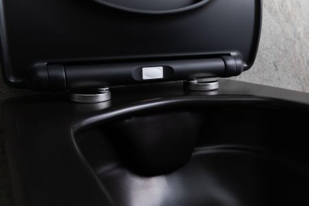 Чаша подвесного унитаза Allen Brau Liberty 4.33007.31 черный матовый, артикул 4.33007.31