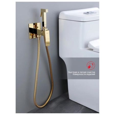 Гигиенический душ со смесителем встраиваемый Raglo R01.52.23, золотой
