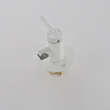 Гигиенический душ со смесителем Rose R235C, белый