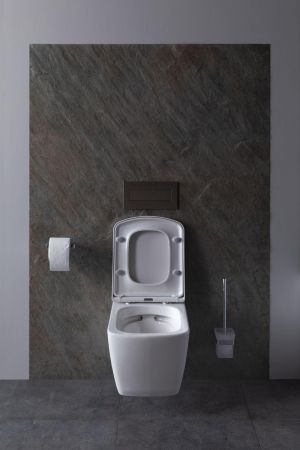 Крышка-сиденье для унитаза Allen Brau Liberty 4.33006.20 белый глянец, артикул 4.33006.20