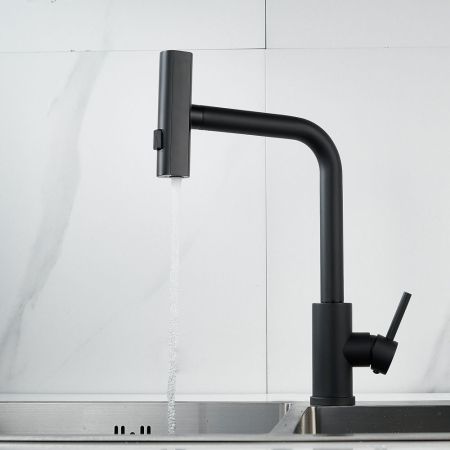 Смеситель для кухни с мультифункциональным изливом Raffine F203H, черный