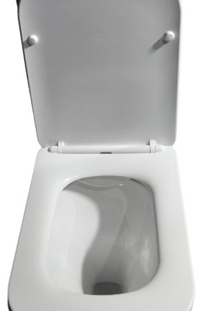 Унитаз NIVOLET напольный безободковый Cerutti SPA  CT8457, артикул CT8457