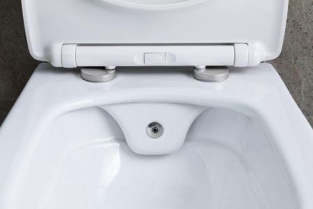 Чаша подвесного унитаза Allen Brau Liberty 4.33009.20 белый, артикул 4.33009.20