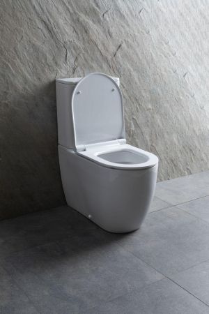 Чаша напольного унитаза Allen Brau Priority 4.31003.20 белый, артикул 4.31003.20