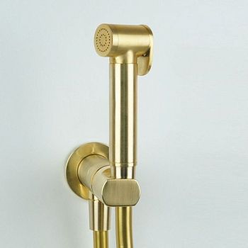 Daniel Suvi, комплект гигиенического душа с прогрессивным картриджем, цвет зачищенное золото