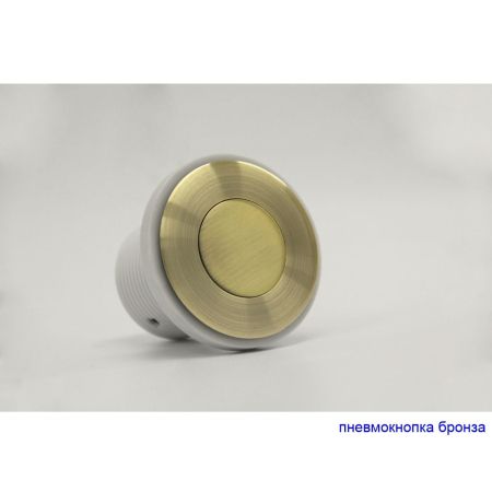 Ванна EXCELLENT Kameleon 170x110 (правая) "SOFT" (бронза), артикул WAEX.KMP17.SOFT.BR