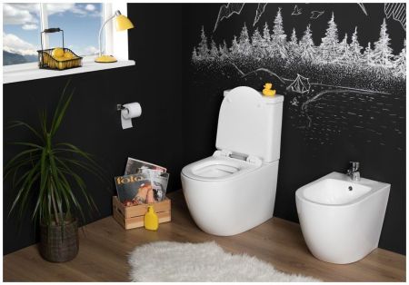 Сливной бачок Aquanet Cetus-C2 BL-102N-TPT