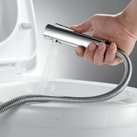 Гигиенический душ со смесителем Raffine F0596-1, хром