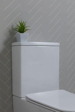 Чаша напольного унитаза Aquanet Rimless Tavr 2.0 C1 LX-2905, артикул Tavr 2.0 C1